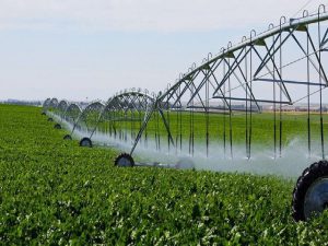 اجرای سامانه‌های نوین آبیاری در خراسان جنوبی، محدودیت اعتباری و سطح ندارد