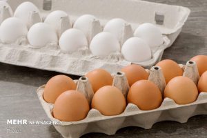 واردات تخم مرغ «نطفه دار گوشتی» به ۱۲۰ میلیون عدد افزایش یافت